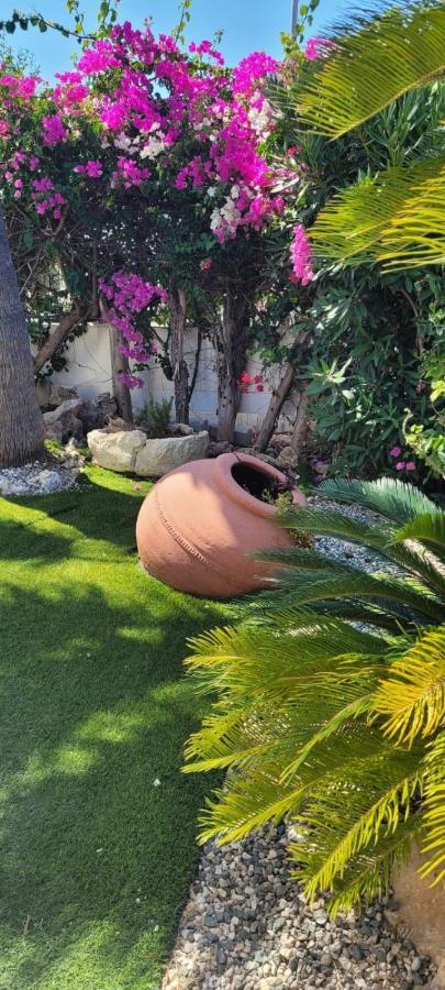 Villa Neyla Four Bedroom Coral Bay Beach Front Kültér fotó