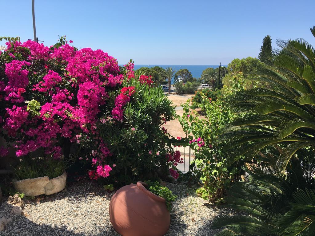 Villa Neyla Four Bedroom Coral Bay Beach Front Kültér fotó